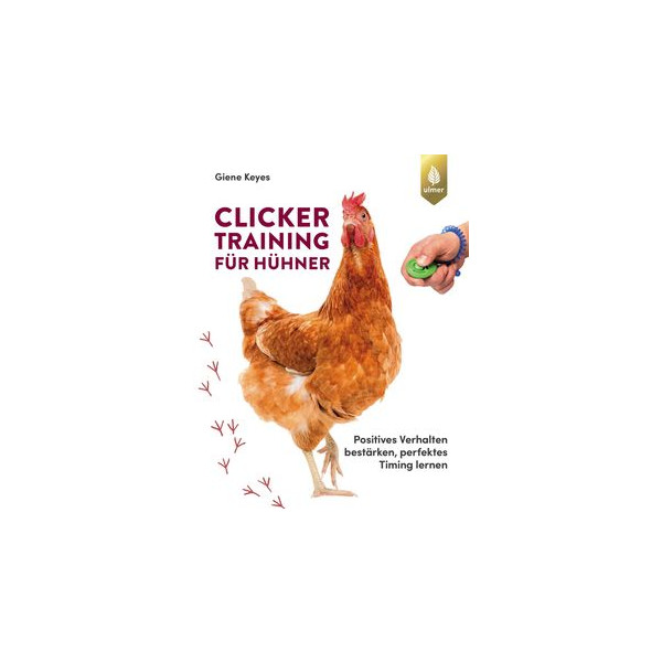 Clickertraining für Hühner - Positives Verhalten b