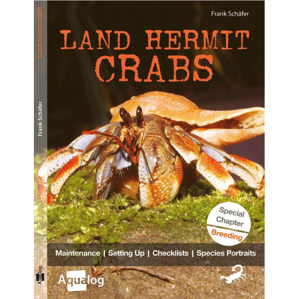 Land hermit crabs box