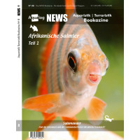 NEWS Bookazine Nr. 8 (Frühjahr 2020)