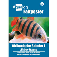 NEWS BOOKAZINE Poster 6 "Afrikanische Salmler 1"