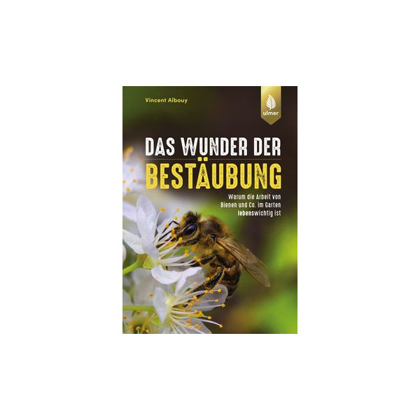 Das Wunder der Bestäubung - Warum die Arbeit von Bienen und Co. im Garten lebenswichtig ist