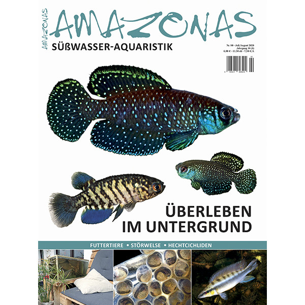 Amazonas 90 - Überleben im Untergrund