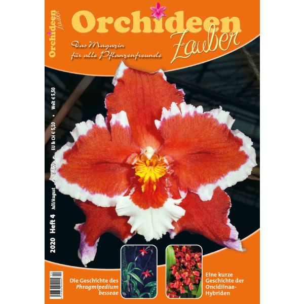 Orchideen Zauber 4 (Juli/August 2020)