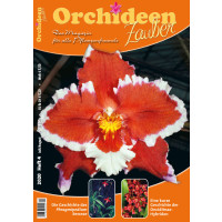Orchideen Zauber 4 (Juli/August 2020)