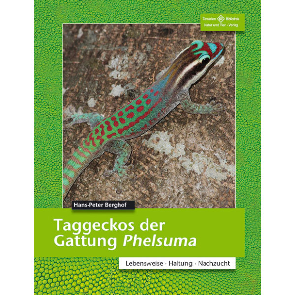 Taggeckos der Gattung Phelsuma box