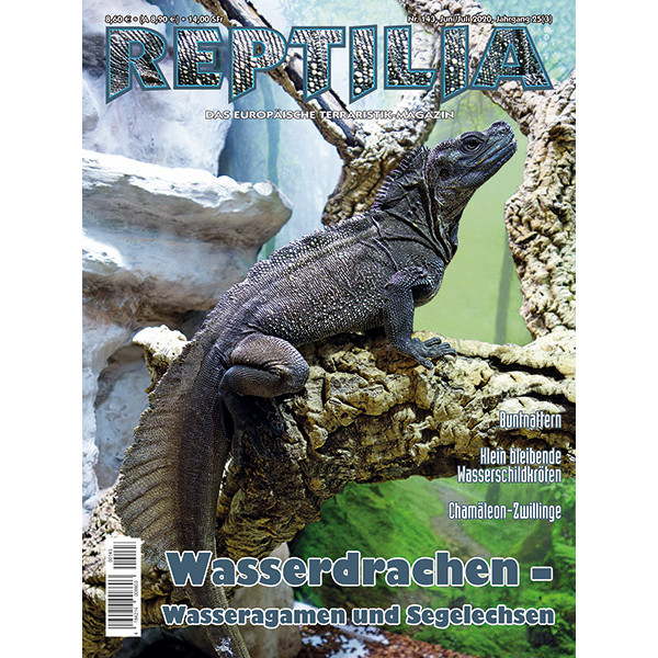 Reptilia 143 - Wasserdrachen (Juni/Juli 2020)