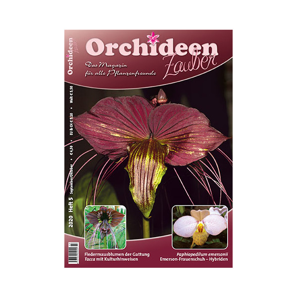 Orchideen Zauber 5 (September/Oktober 2020)