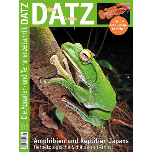 DATZ 2020 - 08 (August)