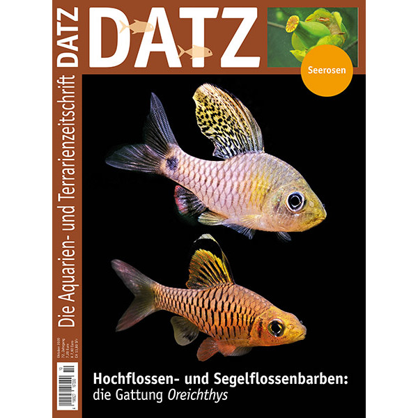 DATZ 2020 -10 (Oktober) box