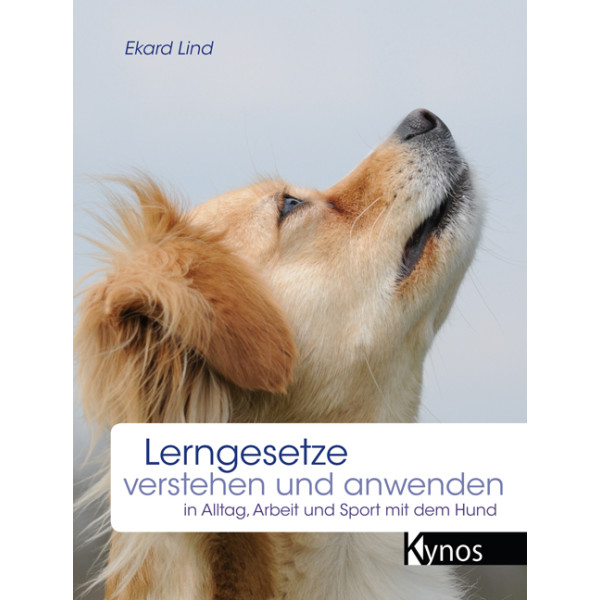 Lerngesetze verstehen und anwenden