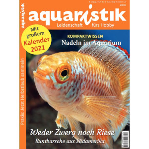 aquaristik 6/2020
