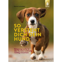 So versteht dich dein Hund
