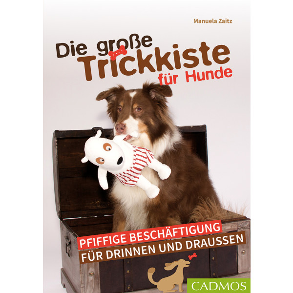 Die große Trickkiste für Hunde - Pfiffige Beschäftigung für drinnen und draußen