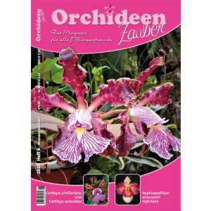 Orchideen Zauber 6 (November/Dezember 2020)