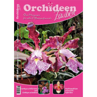 Orchideen Zauber 6 (November/Dezember 2020)