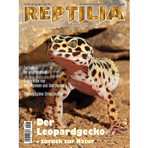 Reptilia 146 - Der Leopardgecko (Dezember 2020/Januar 2021)