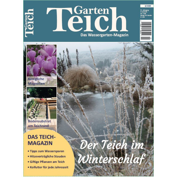 Garten Teich 4/2020 box