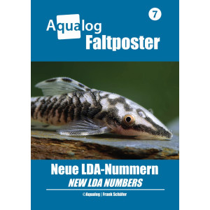 NEWS BOOKAZINE Poster 7 "Neue LDA-Nummern"