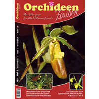 Orchideen Zauber 1 (Januar/Februar 2021)