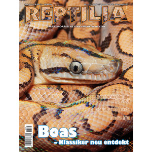 Reptilia 145 - Boas (Oktober/November 2020)