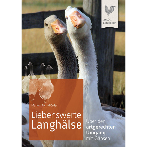 Liebenswerte Langhälse - Über den artgerechten Umgang mit Gänsen
