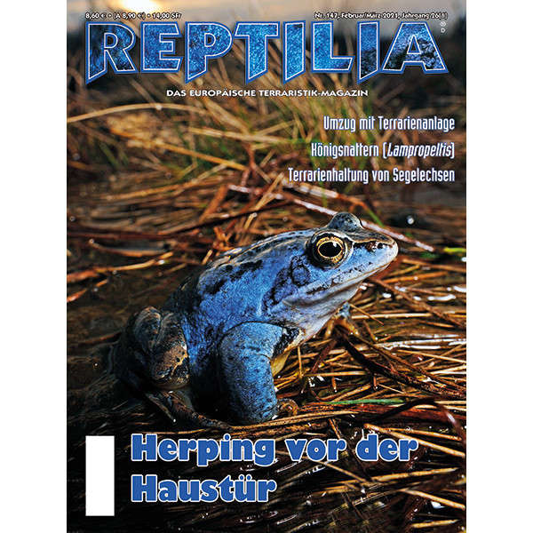 Reptilia 147 - Herping vor der Haustür (Februar/März 2021)