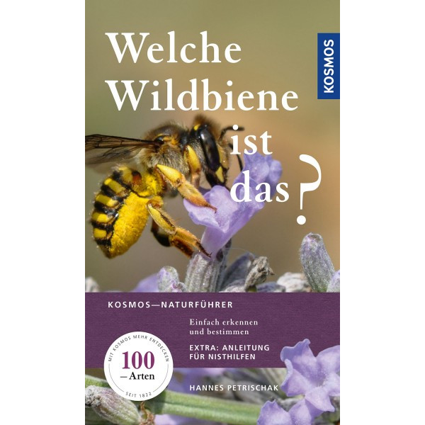 Welche Wildbiene ist das?