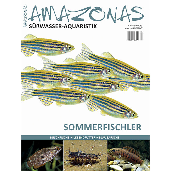 Amazonas 94 - Sommerfischler