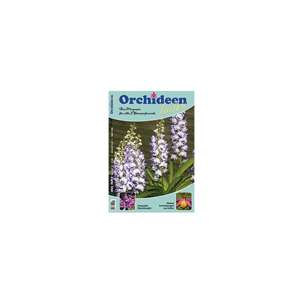 Orchideen Zauber 3 (Mai/Juni 2021)