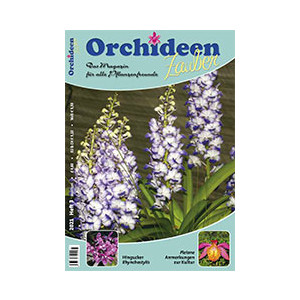 Orchideen Zauber 3 (Mai/Juni 2021)