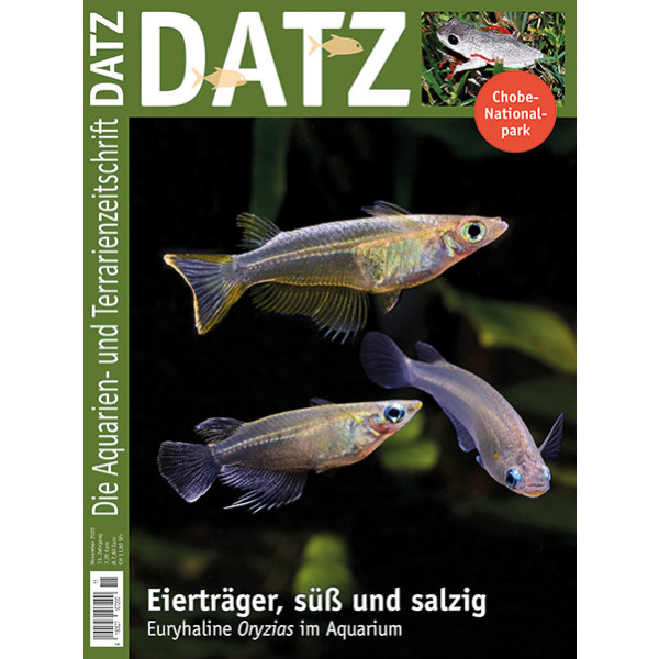 DATZ 2020 -11 (November)