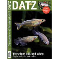 DATZ 2020 -11 (November)