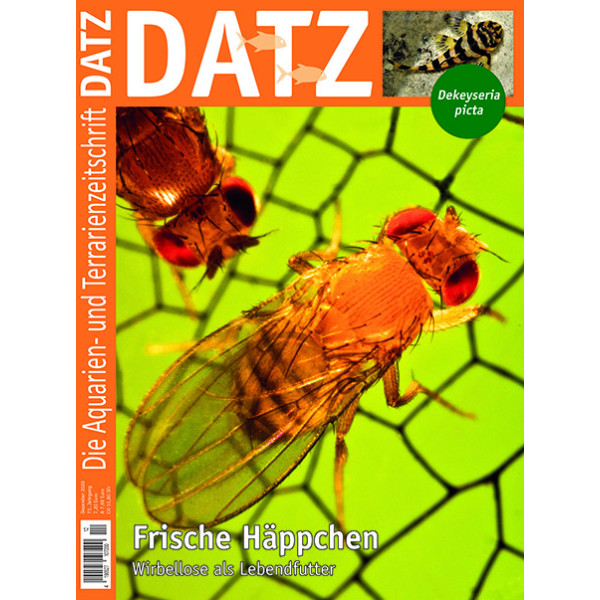 DATZ 2020 -12 (Dezember)