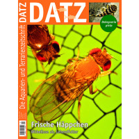 DATZ 2020 -12 (Dezember)