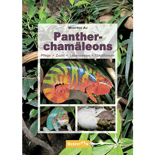 Pantherchamäleons