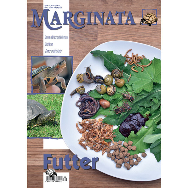 Marginata 62 - Futter
