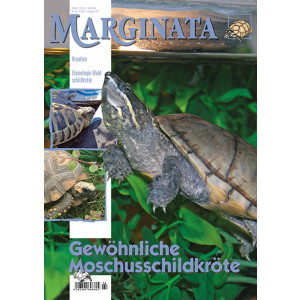Marginata 64 - Gewöhnliche Moschusschildkröte
