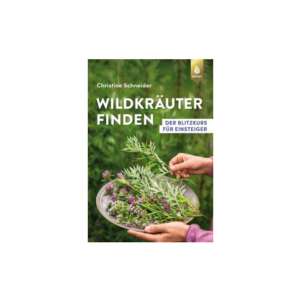 Wildkräuter finden - Der Blitzkurs für Einsteiger