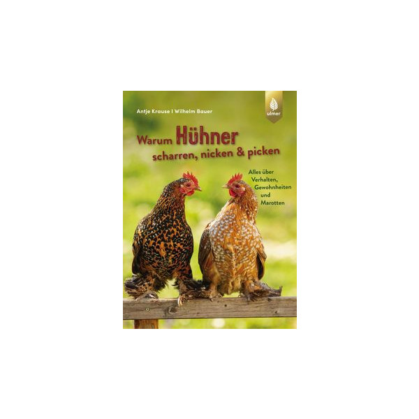 Warum Hühner scharren, nicken und picken