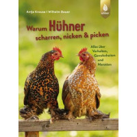 Warum Hühner scharren, nicken und picken