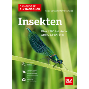 Das große BLV Handbuch Insekten