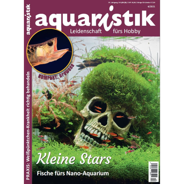 aquaristik 4/2021