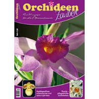 Orchideen Zauber 4 (Juli/August 2021)