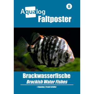 NEWS BOOKAZINE Poster 8 "Brackwasserfische"