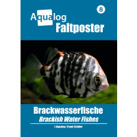NEWS BOOKAZINE Poster 8 "Brackwasserfische"