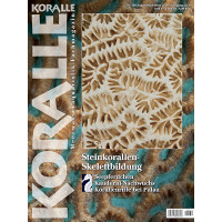 KORALLE 130 - Steinkorallen-Skelettbildung (August/September 2021)