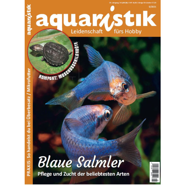 aquaristik 5/2021