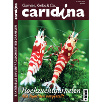 Caridina 3/2021