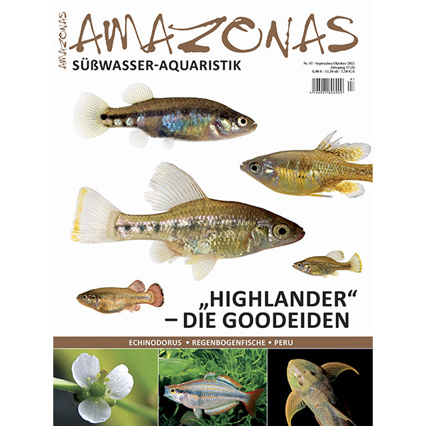 Amazonas 97 - "Highlander" - Die Goodeiden