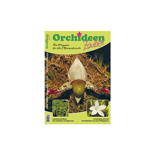 Orchideen Zauber 5 (September/Oktober 2021)